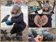 Покормите птиц зимой! (конкурс – акция)